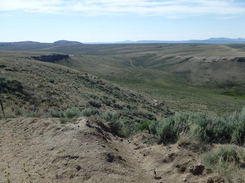 GDMBR: A green valley with water, cattle, and antelope.